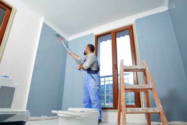 Best Mold Odor Removal Services  in New Union, TN