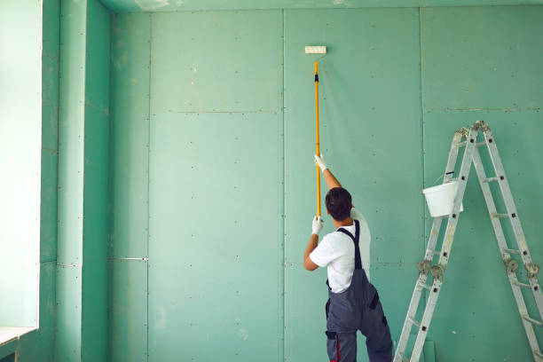 Best Black Mold Removal  in New Union, TN