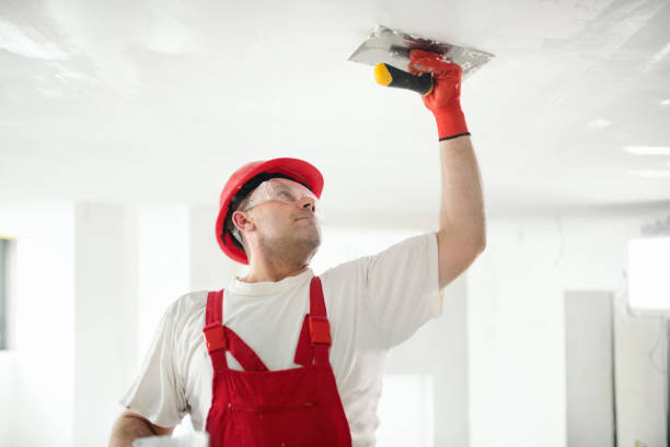 Best Mold Remediation for Healthcare Facilities  in New Union, TN